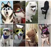 Óculos de sol Goggles para vestuário para cães Treval Acessórios ao ar livre 1222576