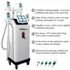 5 cryo handle Vacuum slimming cellulite reduction cryolipolysis weight loss fat freezing beauty machine