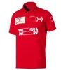 F1-Formel-1-Renn-POLO-Shirt, kurzärmeliges Team-Logo-Shirt mit dem gleichen Brauch