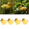 Pacote 4 Ducklings de pato flutuante Ornamentos de jardim para piscina de parque Decoração de peixes 220721