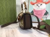 Вечерние сумки Diana Bag TZ Camel Color Mini Bamboog Bag Fashion красивая сумочка дамы практические универсальные полоса