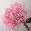 Fiori decorativi ghirlande naturale essiccata fresca secca Gypsophila paniculata baby39s bouquet di fiori respirali regalo per weddin3927206