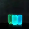 Magazzino statunitense 16 once di sublimazione Bicchiere da birra Lattina Glow in Dark Tazze Bicchieri Bottiglia d'acqua Lattina di birra Bicchiere in vetro Bicchieri con coperchio in bambù Tazza da caffè in paglia