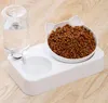 Pet Cat Bowl Automatische Water Feeder Dog Cat Food Water Dispenser Dubbele Drinken Opgeheven Standschotel S-levering 220323