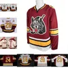 Ceothr Chicago Wolves 7 Chelios 14 Matt Anderson 25 Faxel 20 Darren Haydar 1 Young 28 Ryan Garbutt Mens Women Youth 100% haft hockey koszulka