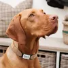 Spersonalizowana silikonowa karta identyfikacyjna PET DIY Grawatowana stal nierdzewna kołnierz psa