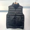 Herfst winter lichtgewicht casual heren jassen vesten mouwloze slanke fit stand kraag katoenen jassen vest