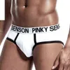 Men Sexy Gay Men's Briefs Soft Male Panties Shorts Breathable Man Underpants Sleepwear Cotton Underwears Briefs G220419