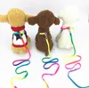 Regenboog kleur tractioneel touw honden kragen riem pet levert harnas honden ketting tractie nylon touwen lopen sn4349