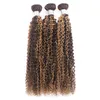 Cabelos humanos da Yirubeauty Malásia Wefts duplos P427 1030 polegadas onda corporal reta Chela