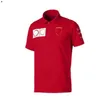 F1 Formule 1 racepolopak zomerteam shirt met korte mouwen dezelfde stijl maatwerk
