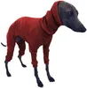 Whippet Italien Greyhound Vêtements Jumps de chien léger pour un pyjamas de col roulé à col roulé de gros chiens