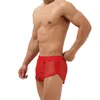 Heren shorts Heren SEXY Casual Mesh Zie door Beach Sport Fitness Swimming Trunks Adems Slaapbodems losse korte broekjes