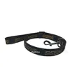 Fashion Dog Collars Leashes Set Pet Cintoni di sedile al guinzaglio Collare per animali domestici e animali domestici Dogs CAT CAT CATTI Q3631683