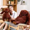 60cm/100cm Soft Brown Bear DJUNGELSKOG Plush Toys Stuffed Bear Teddy Toys Hugging Pillow Cushion Children Gift VIP LJ201126