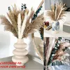 Decoratieve bloemen kransen groothandel natuurlijke gedroogde phragmieten eucalyptus pampas gras boeket Boheemse woning decor schoonheidsbedrijfsprugie Ornamenten