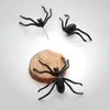 Costumes de décoration de décoration d'allumage à la femme 3d Boucles d'oreille d'araignée noire effrayant haloween fête bricolage décorationstud