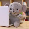 New creative cute down cotton strap baby elephant doll plush toy to appease long-nosed elephant dolls factory spot wholesale