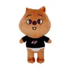 22cm Skzoo Plush Toys Stray Kids Cartoon Stuffed Animal Plushies Doll Kids Fans Toy Gift 36