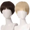 Femmes Cheveux Synthétiques Ailiade Court Bouclés Perruques pour Hommes Résistant À La Chaleur Noir Brun Cosplay Fête Halloween Perruque Quotidien Faux 0527