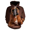 Moletons masculinos moletons moletons homens e meninas Super Dalian Hoodie Border Collie 3D Impressão Moda Harajuku Sweeter padrão de manga longa