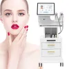 Professional 2022 Hifu Beauty Items Ultrasound Skin Tightening 300W Two Handles Salon