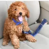 Colliers de chien laisse les laisses pour animaux de compagnie Colaire de ceinture de sécurité collier