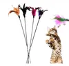 Cat Teaser Wand Toy Toy Interactive Pet Kitten Birds Feather Sticks com Bell