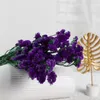 装飾的な花の花輪自然な本物のドライフラワーブーケウェディングブライダルホームベッドルームギフトボックスデコラのための植物の装飾を忘れないでください