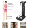 Intelligent Multifrequency Control body composition fat analyzer scale Bioelectrical Impedance Professional gym health and beauty analyzers equipment