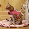 Colliers pour chiens Laisses Laisse pour animaux de compagnie Ensembles de harnais de poitrine Réfléchissant réglable Chiot Gilet Mesh Respirant Chats Confortable Animaux Fournitures Accessori