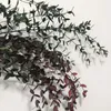 Dekorativa blommor kransar 80g/dekorativ torkad bevarad eukalyptus tenuifolia bukettblad eviga camaldulensis girland för homedec