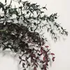 Decorative Flowers & Wreaths 80g/Decorative Dried Preserved Eucalyptus Tenuifolia Bouquet Leaves Eternelle Camaldulensis Garland For HomeDec