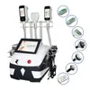 Congelamento del grasso Dimagrante Cavitazione Vuoto Lipo Laser RF Rafforzamento della pelle Face Lifting Body Shaping 360 Cryo Fat Freeze Rimozione della cellulite Peso Riduzione Sculpting