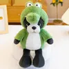 UPS simpatico cartone animato bulldog peluche coniglio dinosauro bambola regalo di compleanno per bambini placare l'accompagnamento