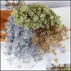 Dekorativa Blommor Kransar Naturtorkad Bouqet Millet Fruktarrangemang i Vase Hög kvalitet för dekoration DIY Wedding Home Wall Drop de
