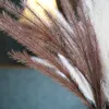 Dekoracyjne kwiaty wieńce 120 cm Bulrus naturalne suszone sztuczne rośliny gałąź pampas trawa phragmites Fałszywe kwiat Wedding Home Decoratio