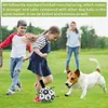 Hondenspeelgoed Interactief huisdiervoetbal met grijptabs Outdoor training voetbalbeet kauwballen voor accessoires 220516GX