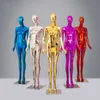 Mannequin coloré pour femmes, modèle galvanisé brillant de différentes couleurs, vente directe d'usine