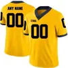 Michigan Wolverines College Football Jerseys Womens Zach Charbonnet Jersey Sean McKeon Ronnie Bell Cornelius Johnson Rare Custom Stitched