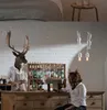 Nordic Restaurant Tier Pendelleuchten Bekleidungsgeschäft Vorschlafzimmer Kinderzimmer Lampe einfache Persönlichkeit kreativer Eichhörnchen Hängende Lampen Kunstdekoration