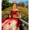 Luxury Red Flowers Ball Gown Quinceanera Dresses Pearls Beaded Sweetheart Prom Party Gowns Light Sky Blue Sweet 16 Dresses vestido de 15 anos para joven quinceaneras