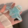 blue hair claw clip