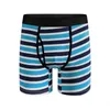 Onderbroek heren slipje langbeen mannelijke boksers shorts man sexy katoenen ondergoed voor mannen boksershorts doos homme slip set stripunderpants