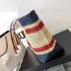 New 23 catwalk straw bag latest designer simple practical Womens Handbags Purses specially designed for young girls Classic womens bags