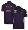 Униформа гоночной команды F1 2022, гоночная рубашка-поло, мужская футболка с лацканами, летняя командная форма, большие размеры, можно настроить