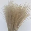30 pièces 45 cm roseau Pampas oreilles de blé queue de lapin herbe fleurs séchées naturelles Bouquet décoration de mariage foin pour fête bohème maison 304600045