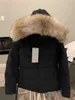 Winter womens jacksts down coat fashion hoold with real wolf fur women jackte coats combination parkas keep warm in winters Parka Doudoune
