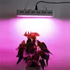 Lâmpada de crescimento de 1000W LED Espectro completo com lascas duplas 10W Bulbos de cultivo para plantas internas hidropônicas de estufa que crescem na tenda Grow