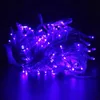 Strings Fairy Light Led Lights Romantic Super Bright 10M 100LED 220V Yard Outdoor Landscape Lamp String Festival GardenLED